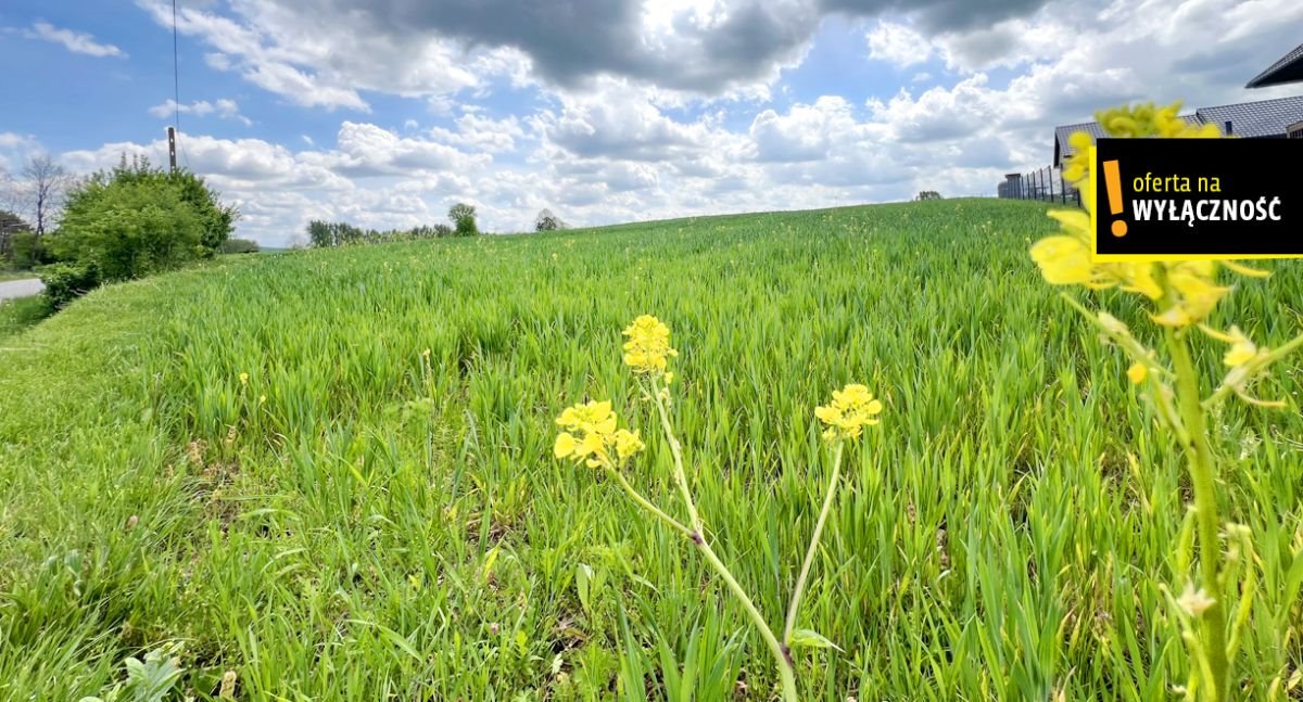 Działka budowlana na sprzedaż Brzeźno  3 148m2 Foto 2