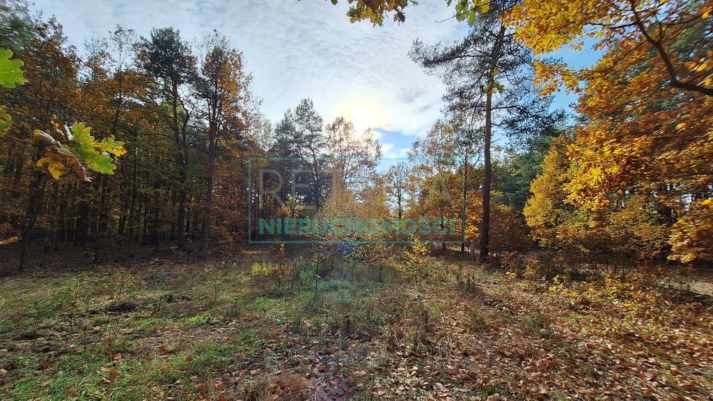 Działka budowlana na sprzedaż Radziejowice  4 297m2 Foto 7