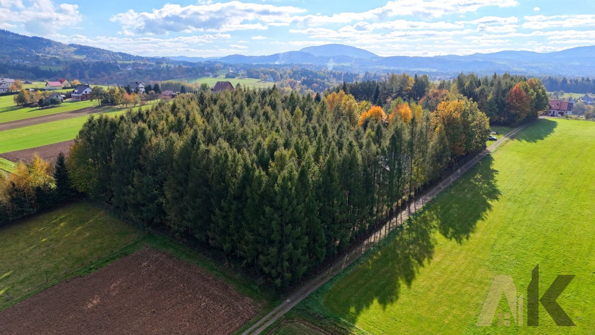 Działka budowlana na sprzedaż Polna  1 823m2 Foto 11