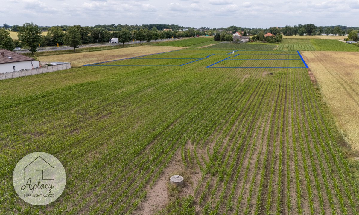 Działka budowlana na sprzedaż Siedlec  704m2 Foto 5