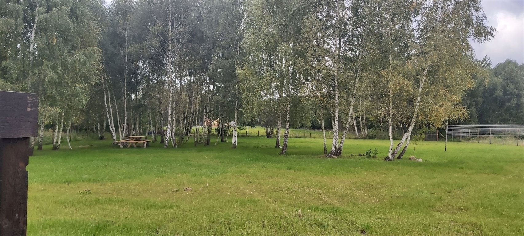 Działka budowlana na sprzedaż Radonie  3 000m2 Foto 1