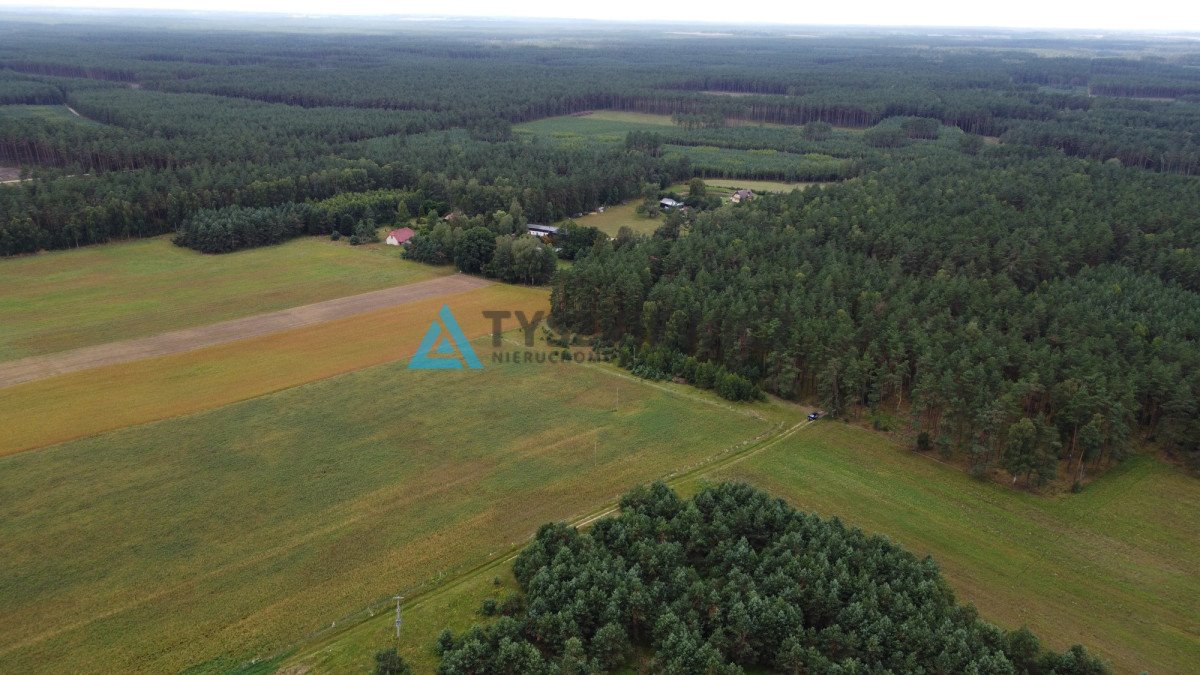 Działka rolna na sprzedaż Brzezinka  35 700m2 Foto 12