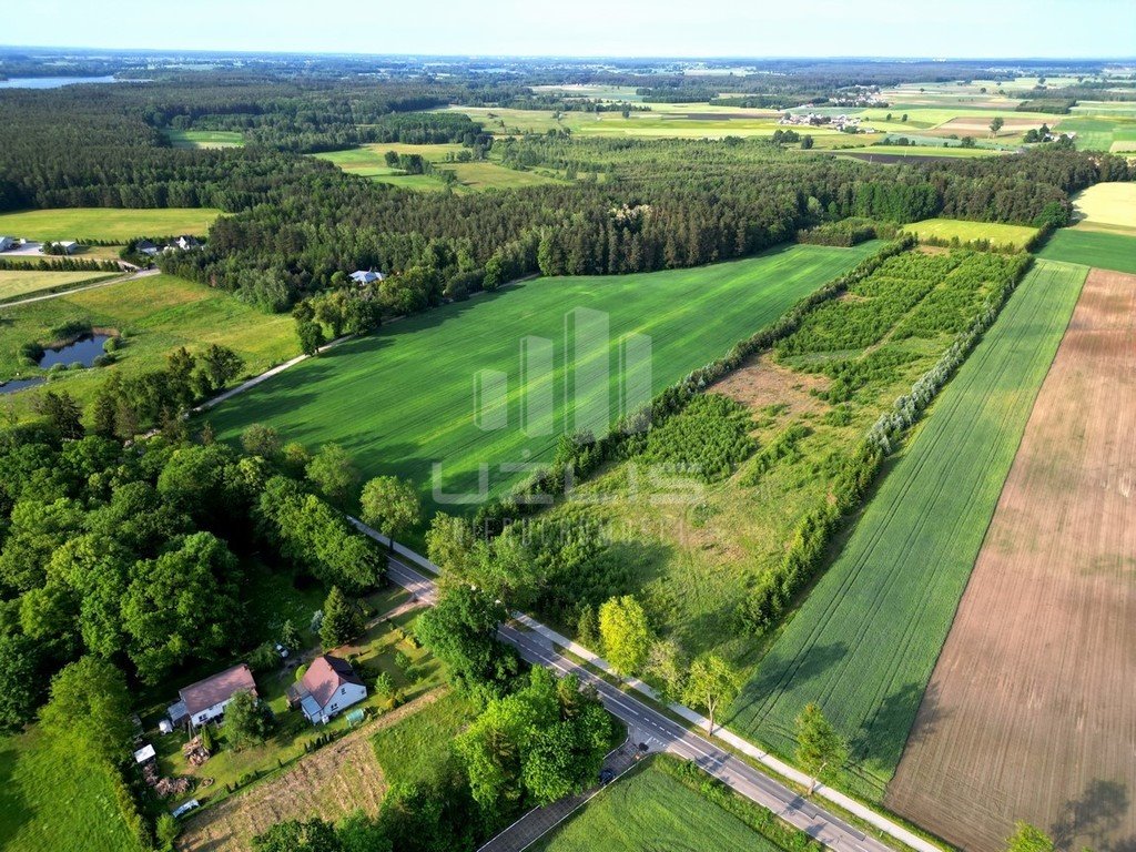 Działka budowlana na sprzedaż Bietowo  3 000m2 Foto 5