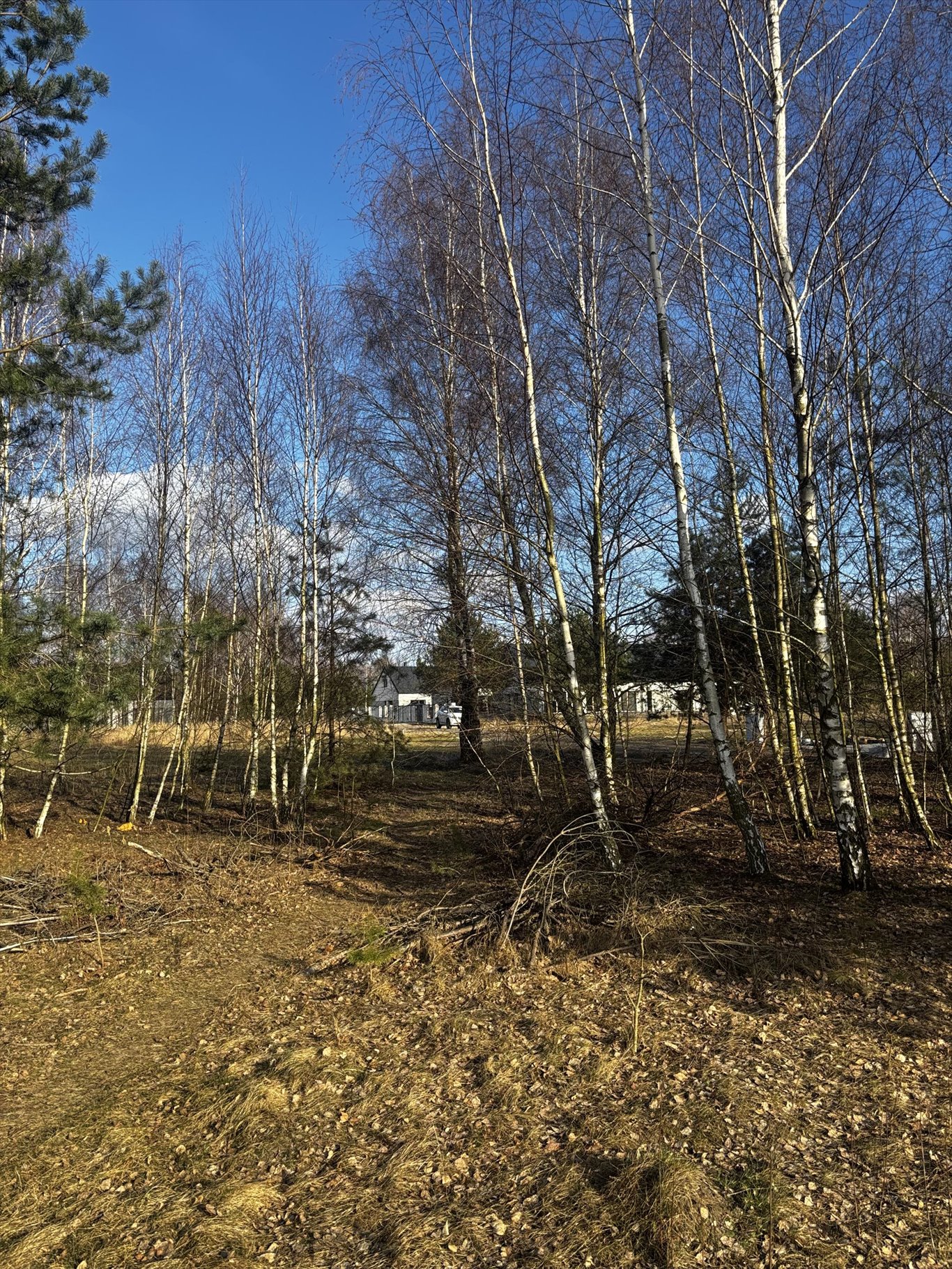 Dwie działki budowlane w Borzęcinie Małym, 1048 m² Borzęcin Mały  1 000m2 Foto 1