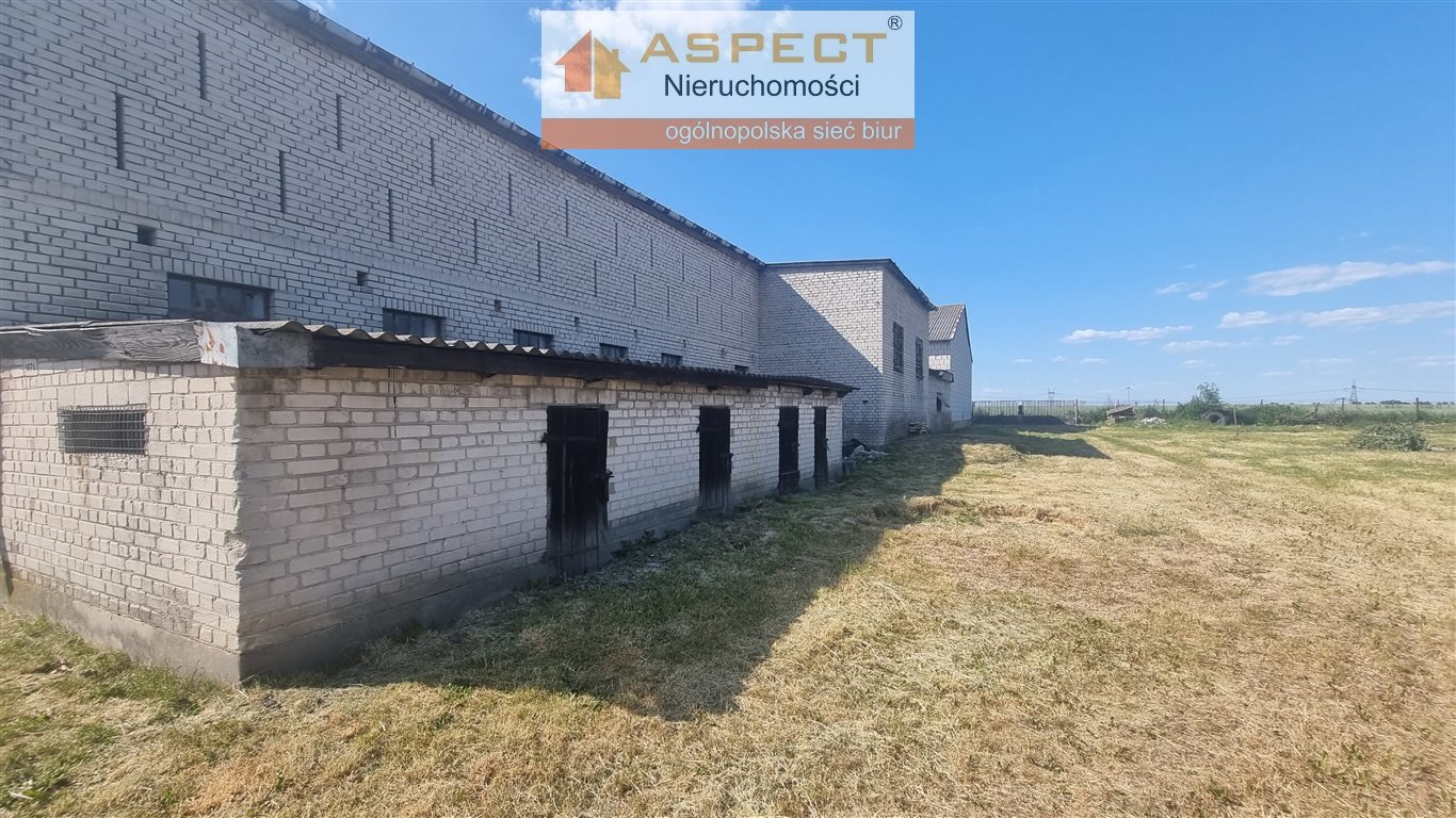 Magazyn 730 m2 z dojazdem asfaltowym w Ślepkowie Królewskim Ślepkowo Królewskie  730m2 Foto 1