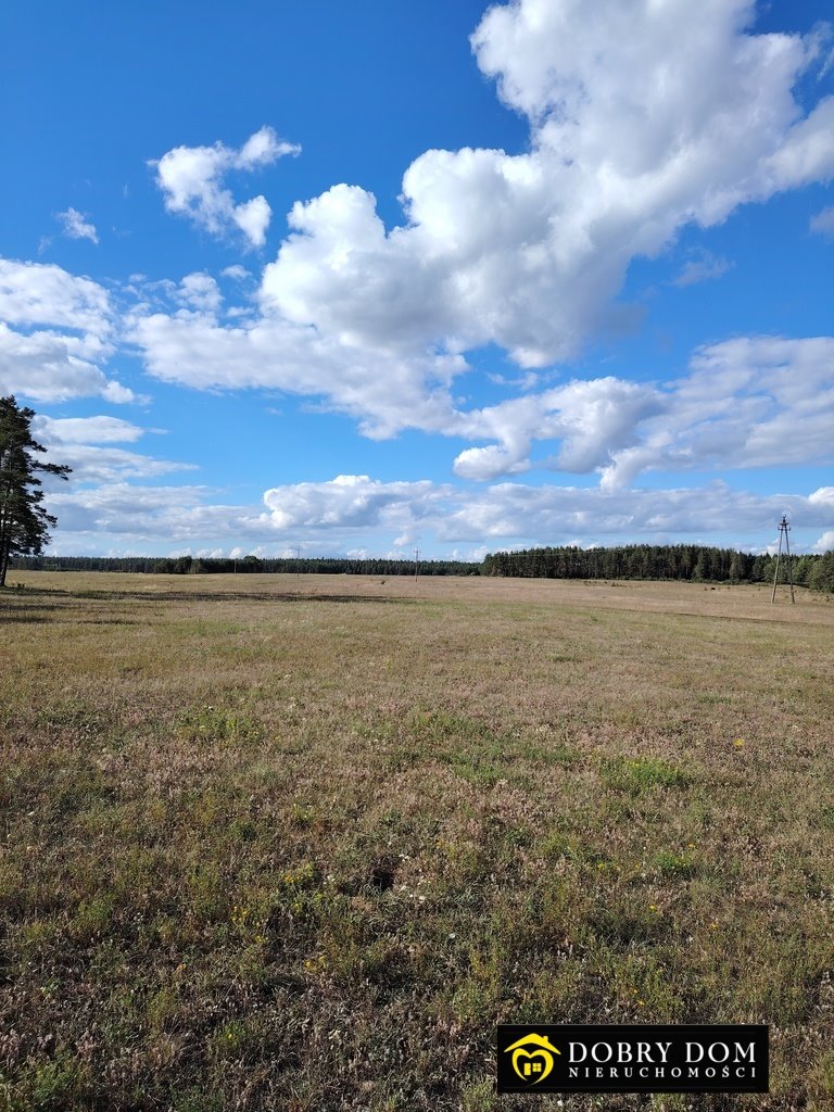 Działka budowlana na sprzedaż Danowskie  1 000m2 Foto 7