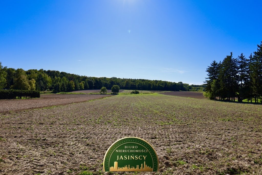 Działka inna na sprzedaż Ciechanów, Śmiecin-Kolonie  2 367m2 Foto 1