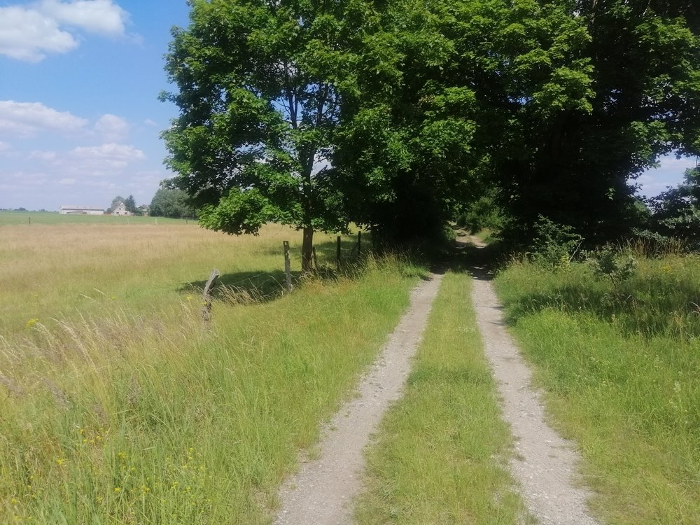 Działka rolna na sprzedaż Dobrzany  148 400m2 Foto 3