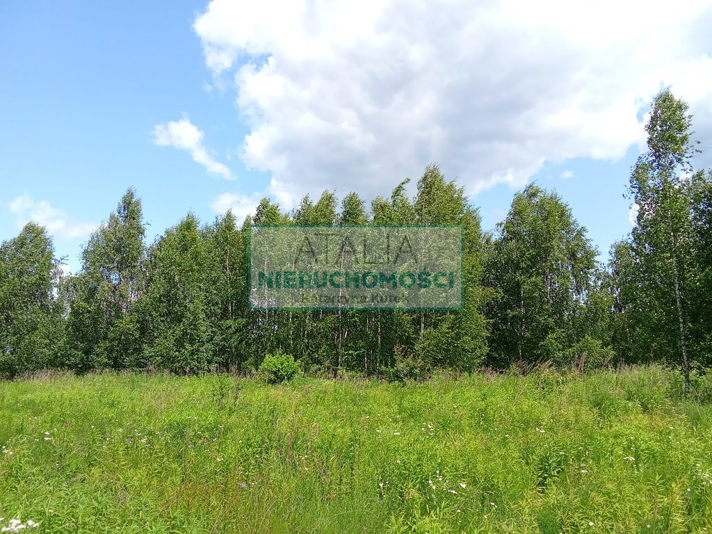Zapraszam do zakupu działki budowlanej z mediami, lasem i szybkim dojazdem Oddział  3 005m2 Foto 1