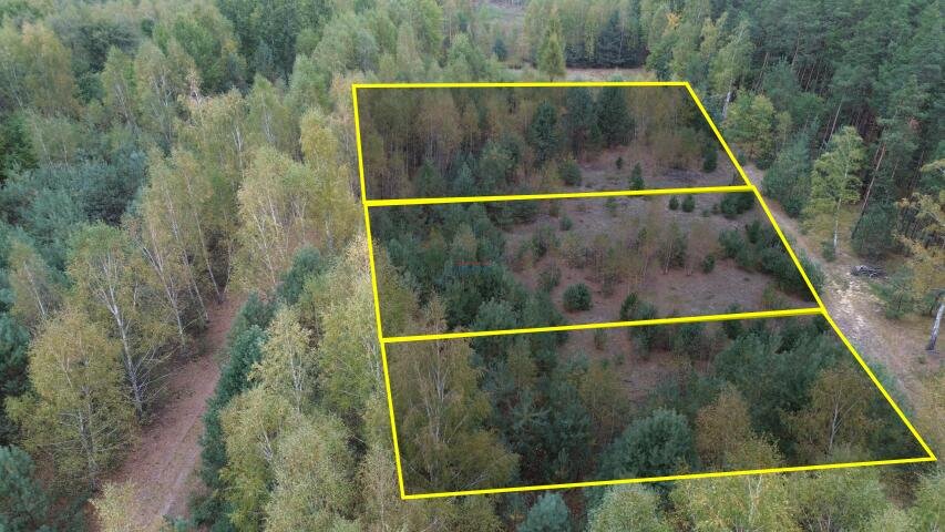 Polecam działkę rolną 3600 m² z drzewami i mediami w pobliżu Wola Prażmowska, Wola Prażmowska  3 600m2 Foto 1