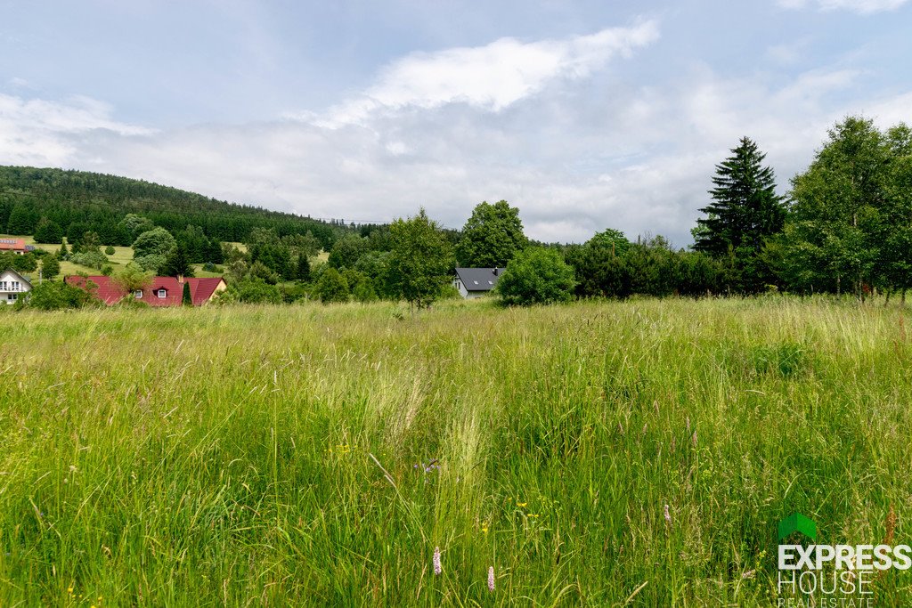 Działka budowlana na sprzedaż Stronie Śląskie  4 069m2 Foto 13