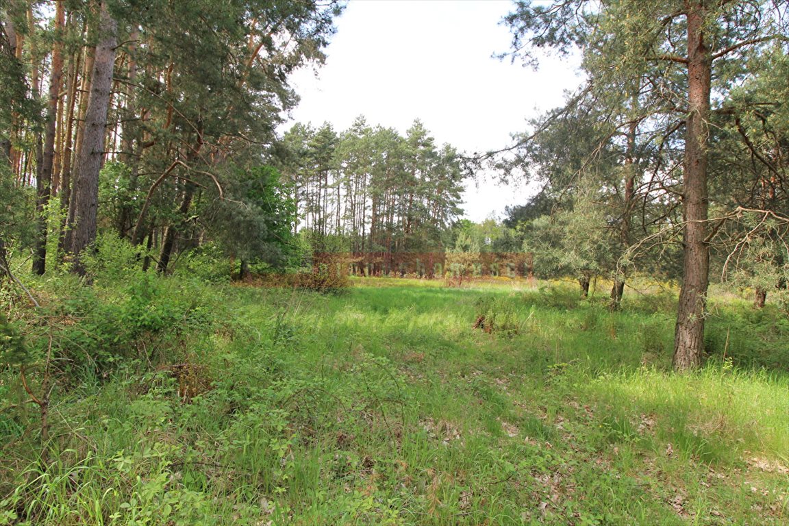 Przestronna działka 10 670 m² z lasem i łąkami Brynica  10 670m2 Foto 1