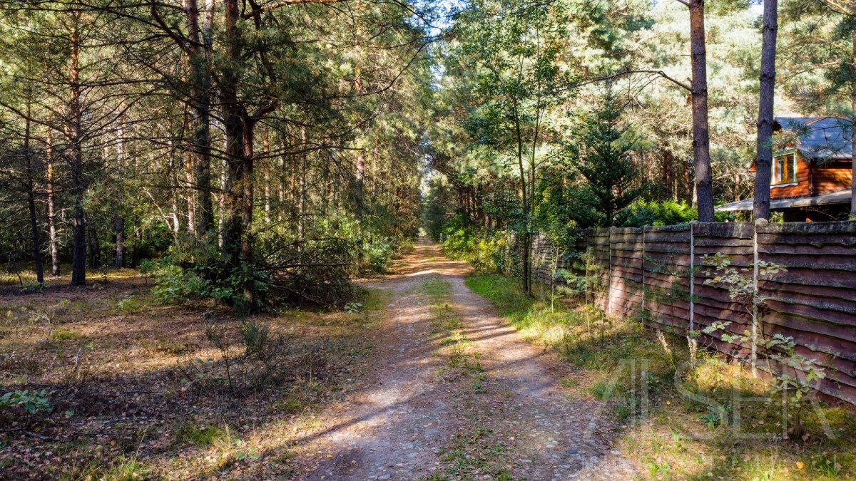 Działka budowlana na sprzedaż Basinów  972m2 Foto 5