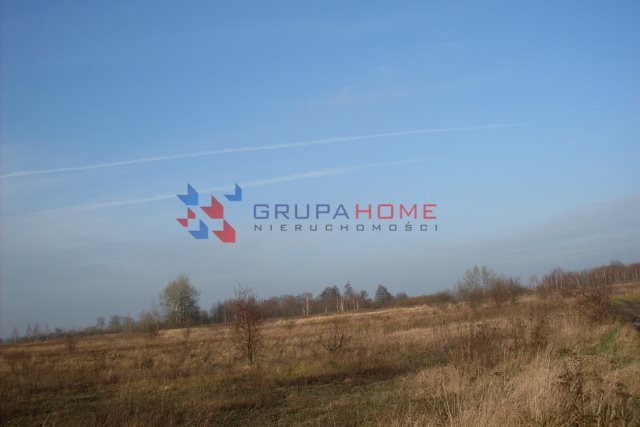 Działka rolna na sprzedaż Bielawa 7 500m2 Foto 1 Działka rolna na sprzedaż Bielawa 7 500m2 Foto 1
