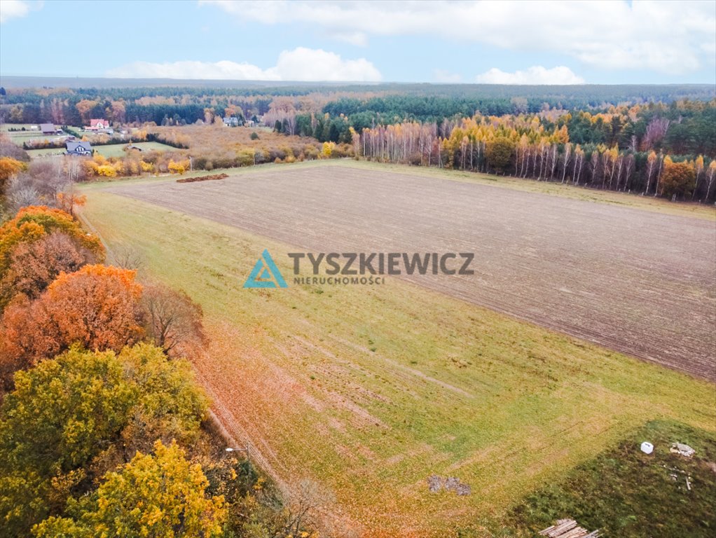 Działka siedliskowa na sprzedaż Szczenurze  3 238m2 Foto 4