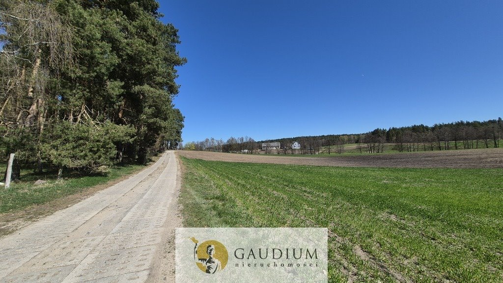 Działka 7 ha z MPZP, możliwość powiększenia - polecam! Wędkowy  70 000m2 Foto 1