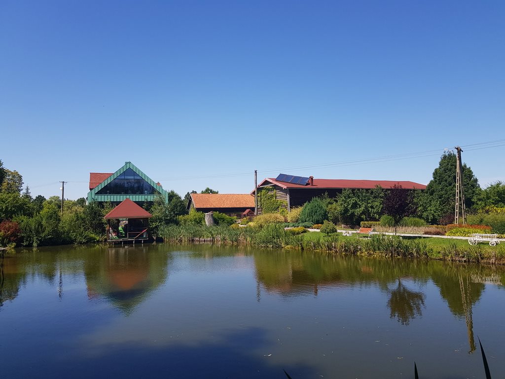Dom na sprzedaż Stary Dzierzgoń 430m2 Foto 1 Dom na sprzedaż Stary Dzierzgoń 430m2 Foto 1