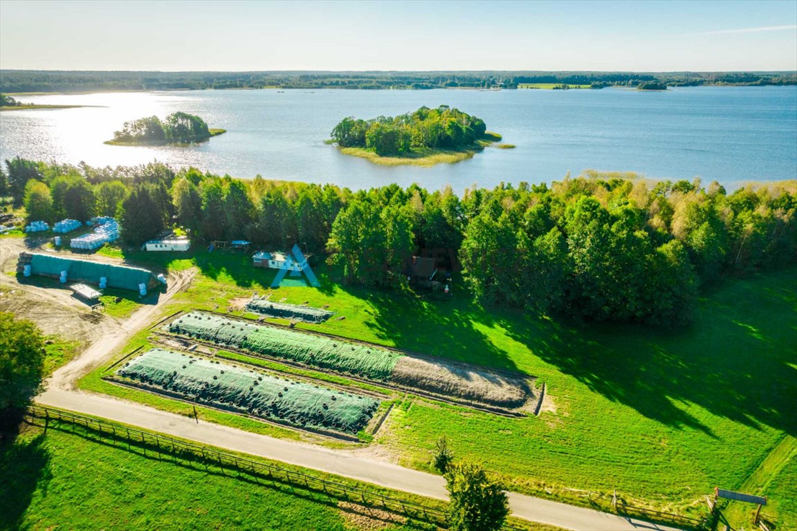 Działka budowlana na sprzedaż Peplin  4 000m2 Foto 12