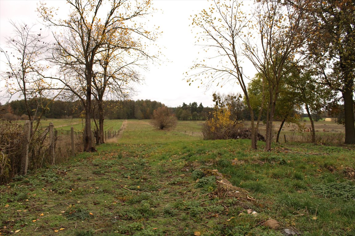 Działka rolna na sprzedaż Swoboda  6 500m2 Foto 8