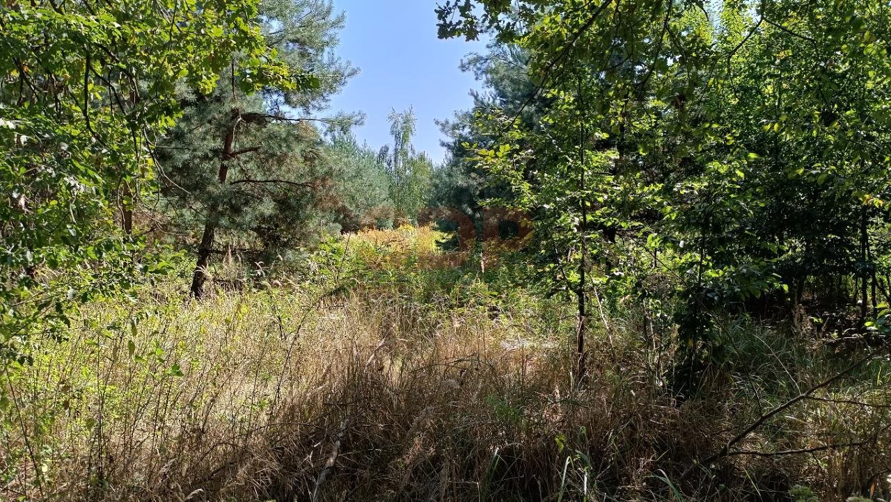 Działka budowlana na sprzedaż Kotowice, Leśna  3 000m2 Foto 7