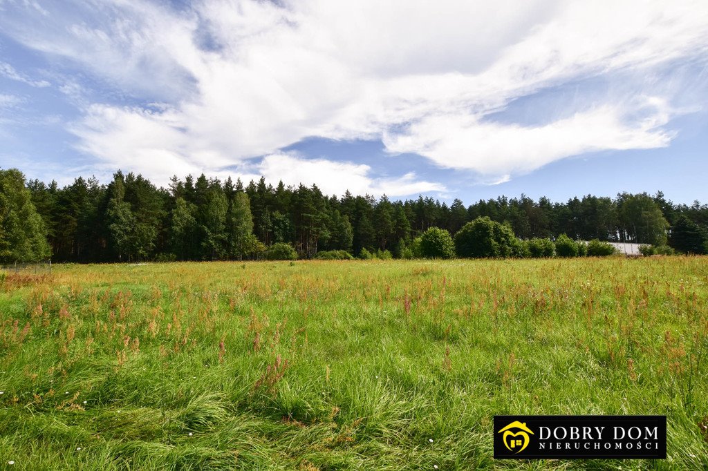 Działka 3400 m² przy lesie z prądem (Sofipol, Podlaskie) Sofipol  3 400m2 Foto 1