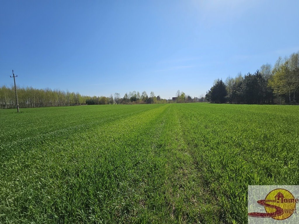 Działka rolna 4500 m² z dostępem i III klasą ziemi zapraszam Mirów Stary  4 500m2 Foto 1