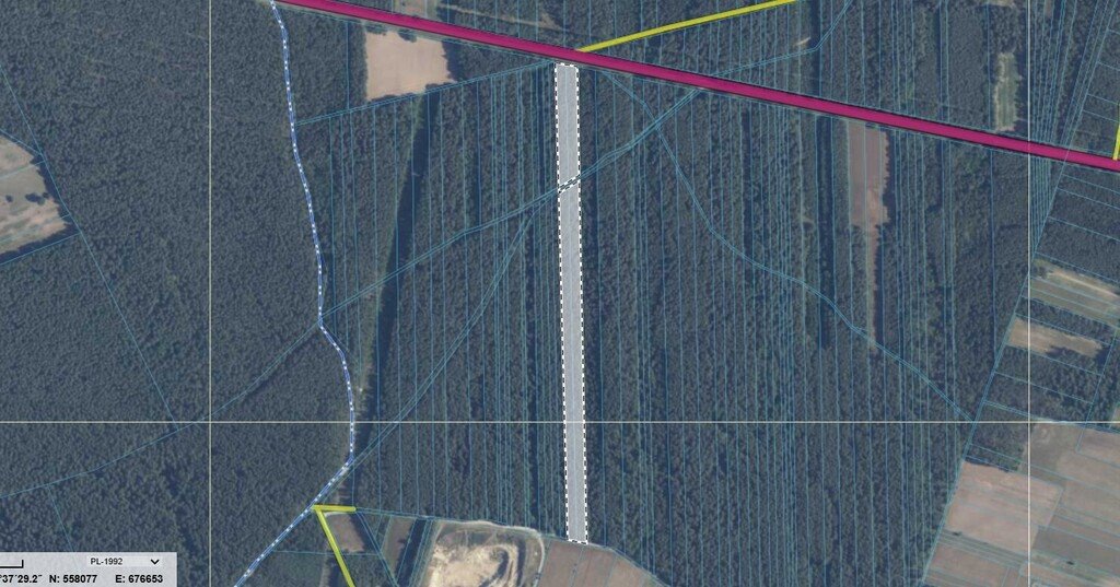 Leśna działka 2,6 ha z drogą, planem lasu i niską ceną Zastawie  26 000m2 Foto 1
