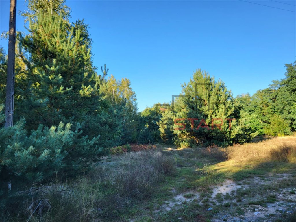 Urokliwa działka 2164 m2 wśród sosen – idealna na rekreację Borszyce  2 164m2 Foto 1