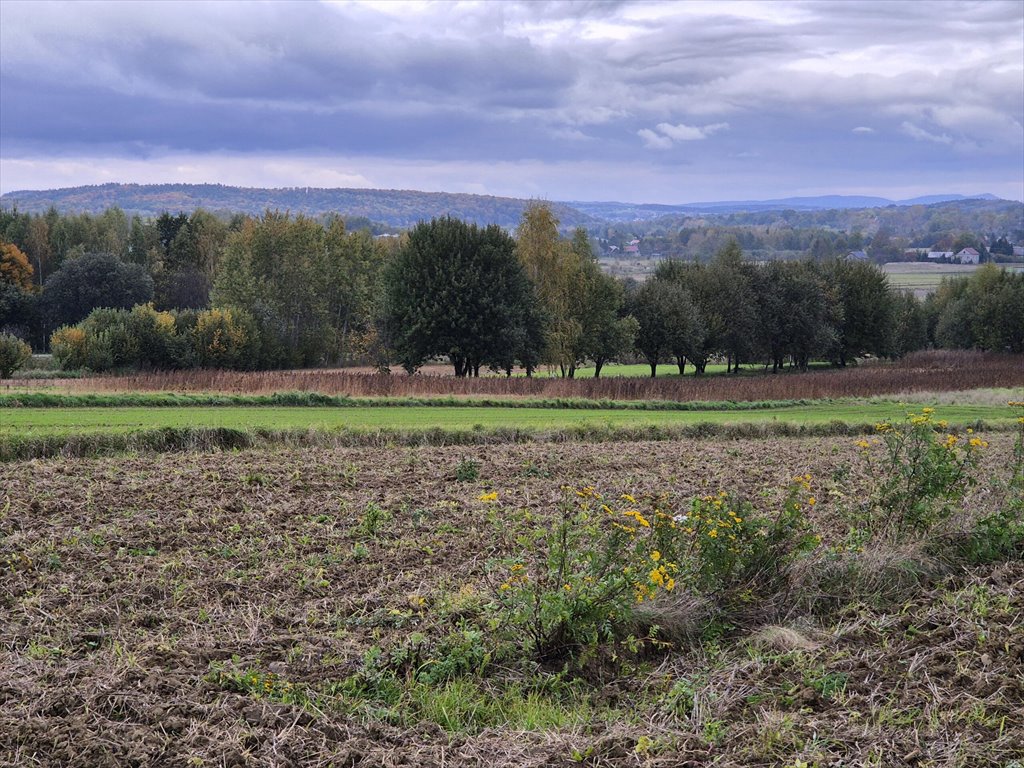 Działka rolna na sprzedaż Długie  1 910m2 Foto 13