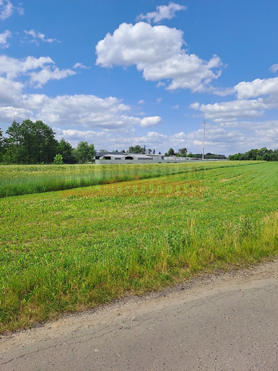 Działka przemysłowa 9,8 ha z dostępem do mediów Kotórz Mały  9 800m2 Foto 1