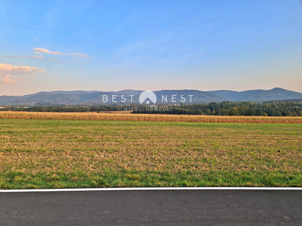 Działka budowlana na sprzedaż Jasienica  10 340m2 Foto 6