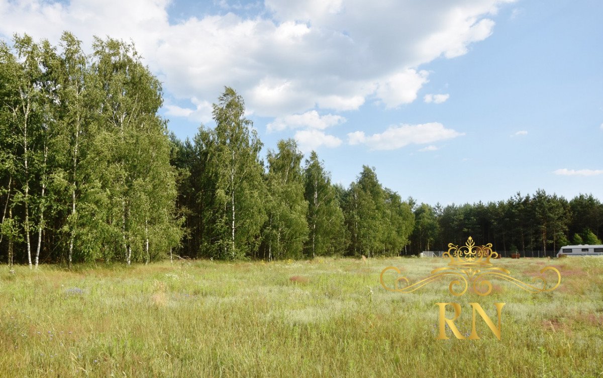 Działka rekreacyjna na sprzedaż Pałecznica  1 300m2 Foto 1