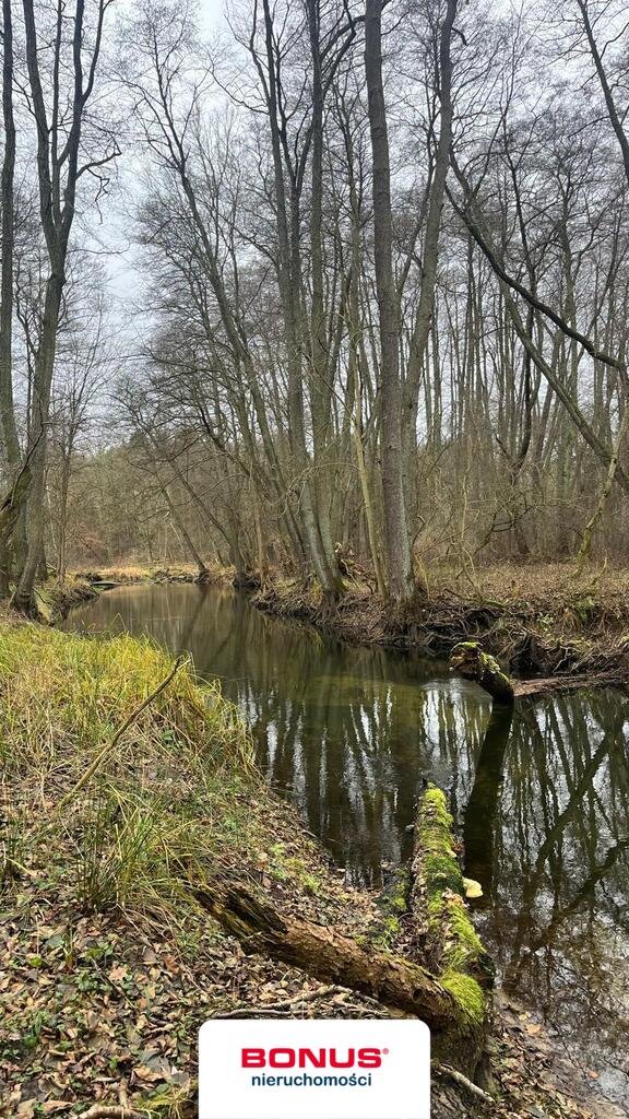 Działka inwestycyjna na sprzedaż Szczecin, Płonia  11 479m2 Foto 6