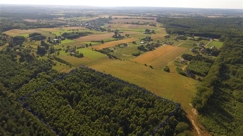 Działka budowlana na sprzedaż Sopieszyno, Leśna  44 000m2 Foto 1