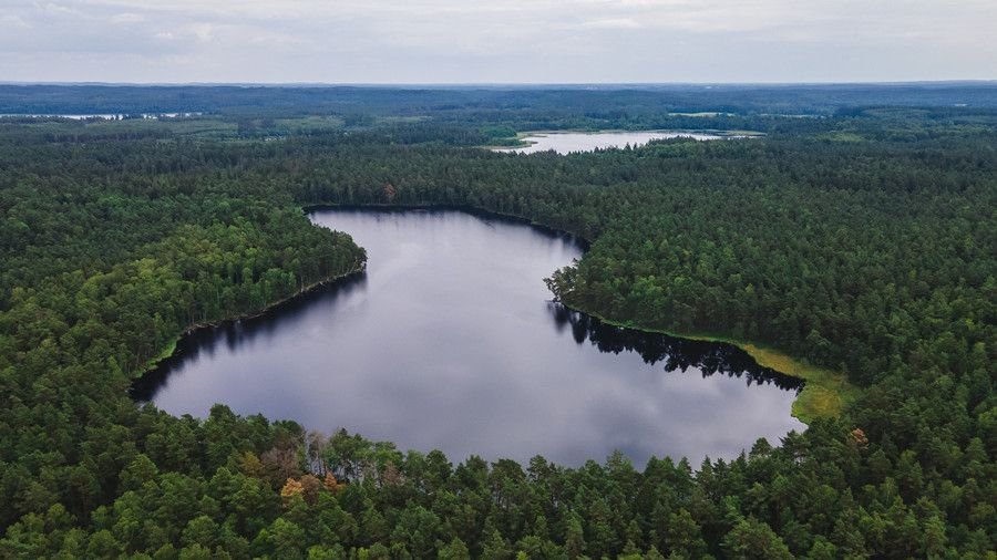 Działka rolna na sprzedaż Pajtuny  3 018m2 Foto 5