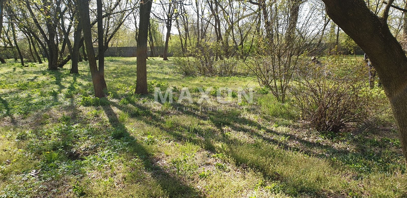 Działka budowlana na sprzedaż Borzęcin Duży  20 000m2 Foto 12