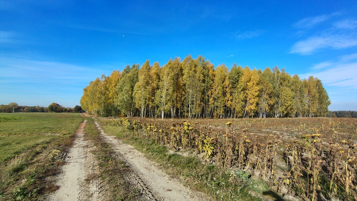 Działka budowlana na sprzedaż Brzozowica, Brzozowica  830m2 Foto 12