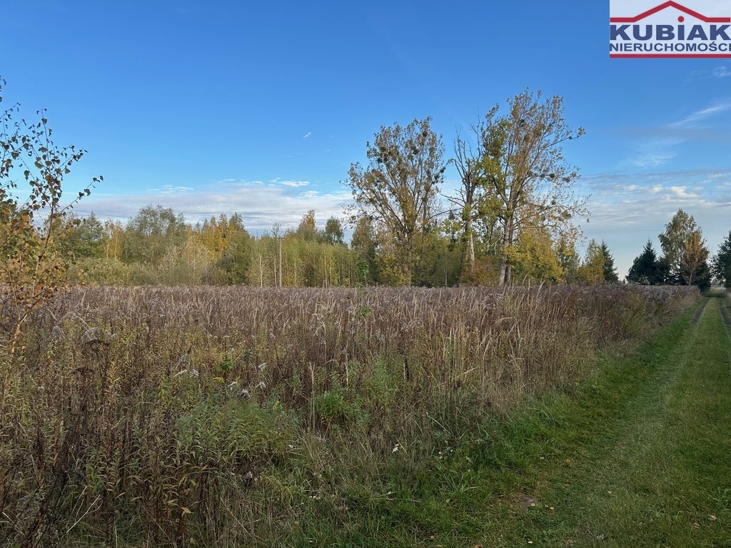 Działka budowlana na sprzedaż Milęcin  1 500m2 Foto 4