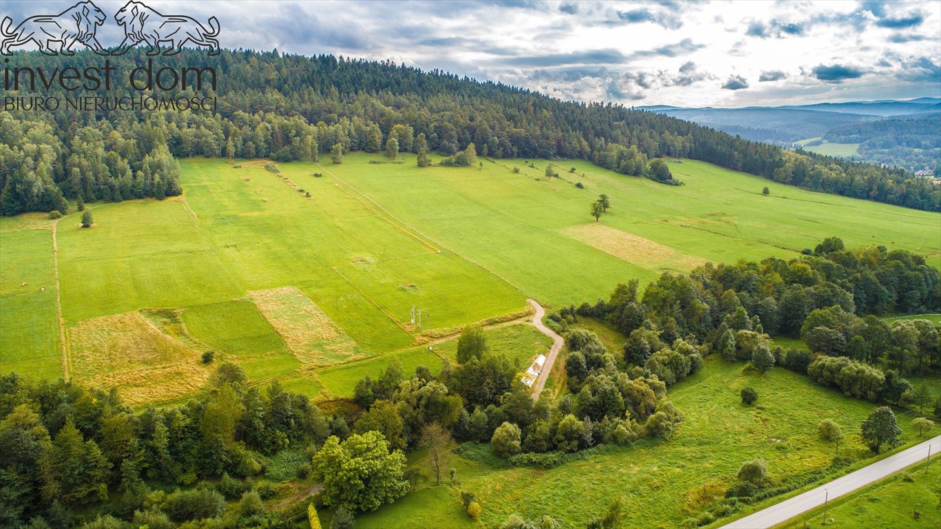 Działka budowlana na sprzedaż Czarna  2 300m2 Foto 10