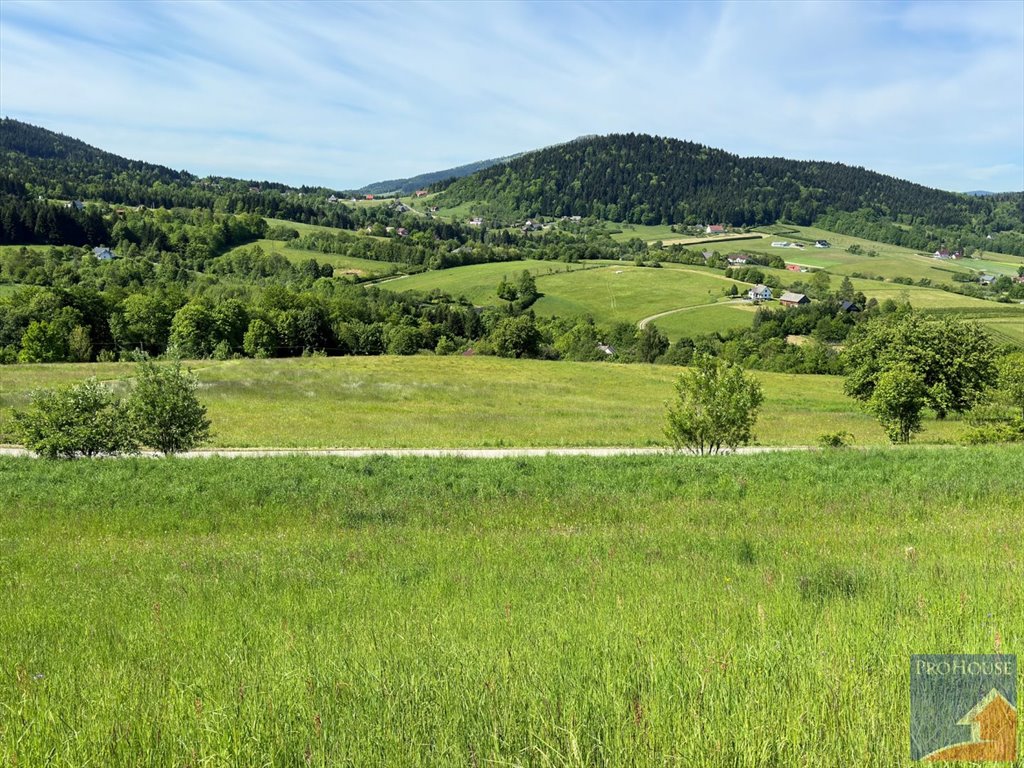 Działka budowlana na sprzedaż Skrzydlna  7 400m2 Foto 8