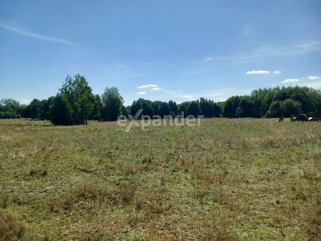 Duża działka 7,37 ha z siedliskiem i dostępem do drogi Józefowo  73 700m2 Foto 1