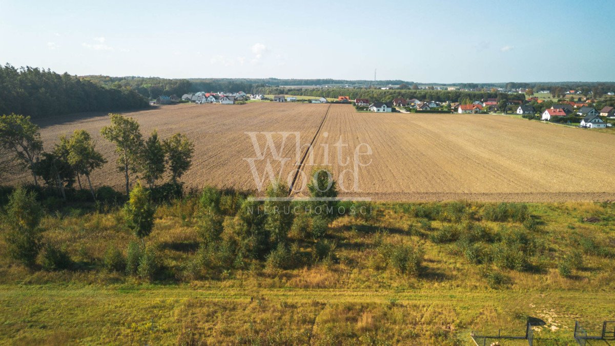 Działka budowlana na sprzedaż Połchowo  1 000m2 Foto 7