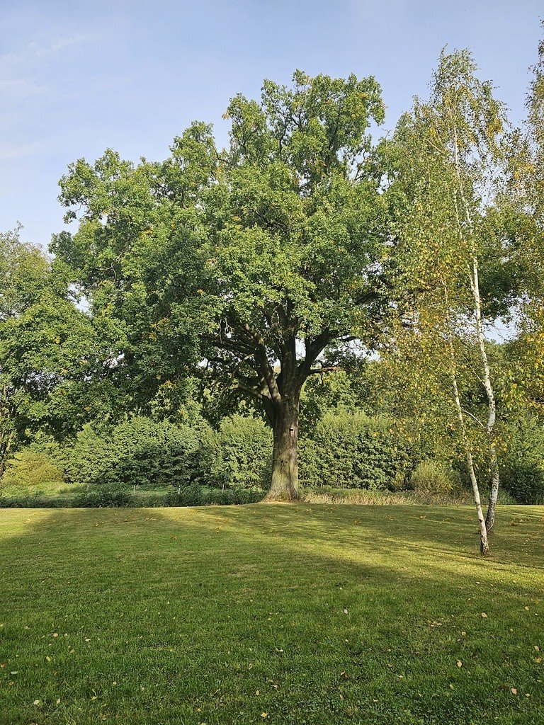 Działka budowlana na sprzedaż Różanki  3 225m2 Foto 3