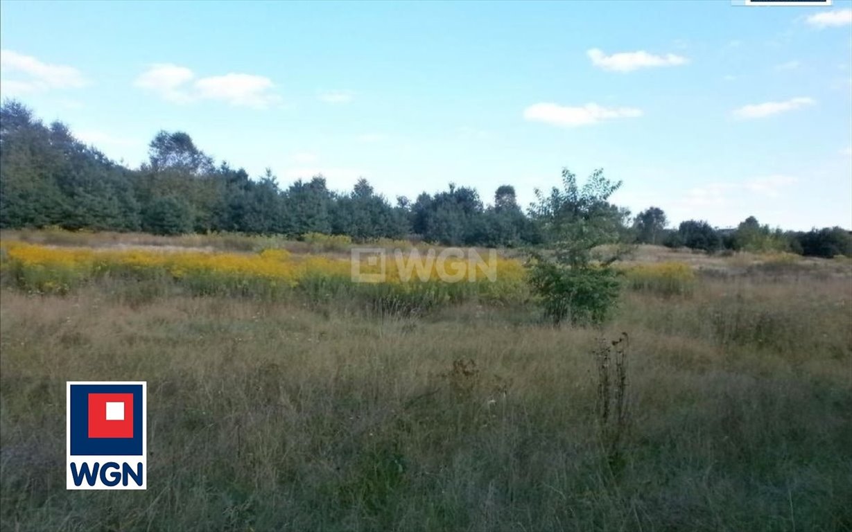 Działka 1,3 ha pod zabudowę siedliskową w Mirów Częstochowa, Mirów, Mirów  13 249m2 Foto 1