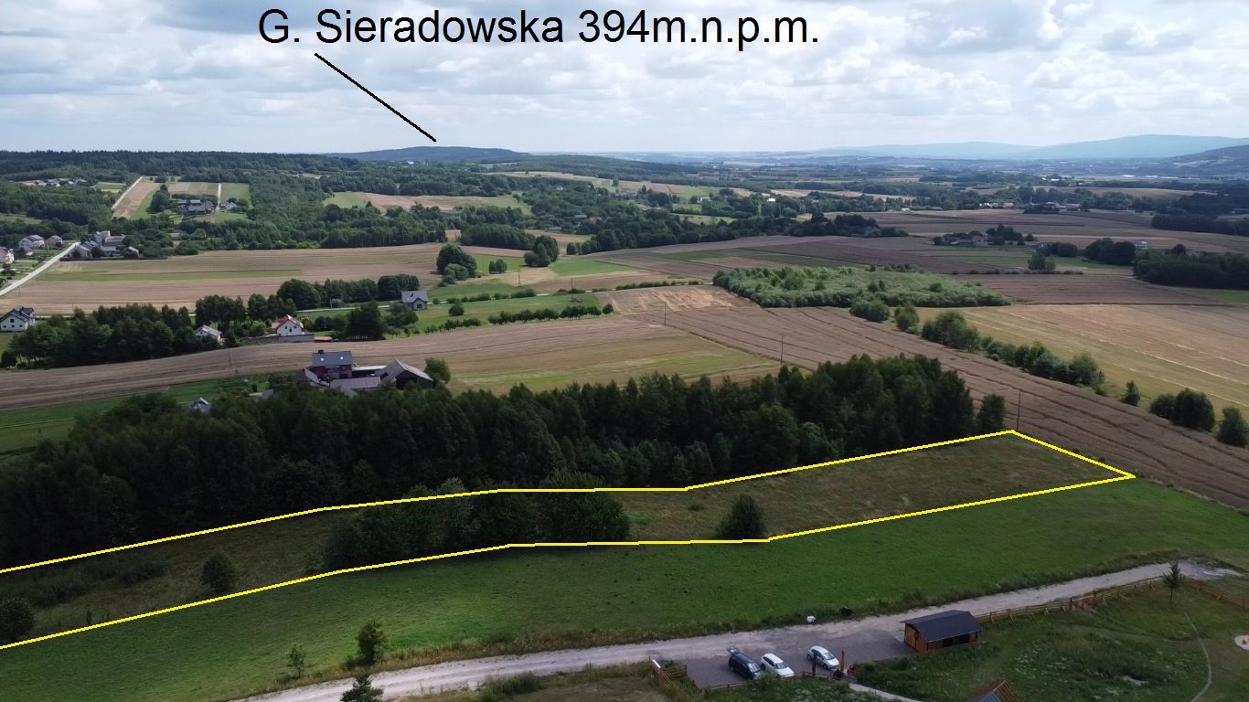 Działka budowlana na sprzedaż Orzechówka  9 800m2 Foto 8