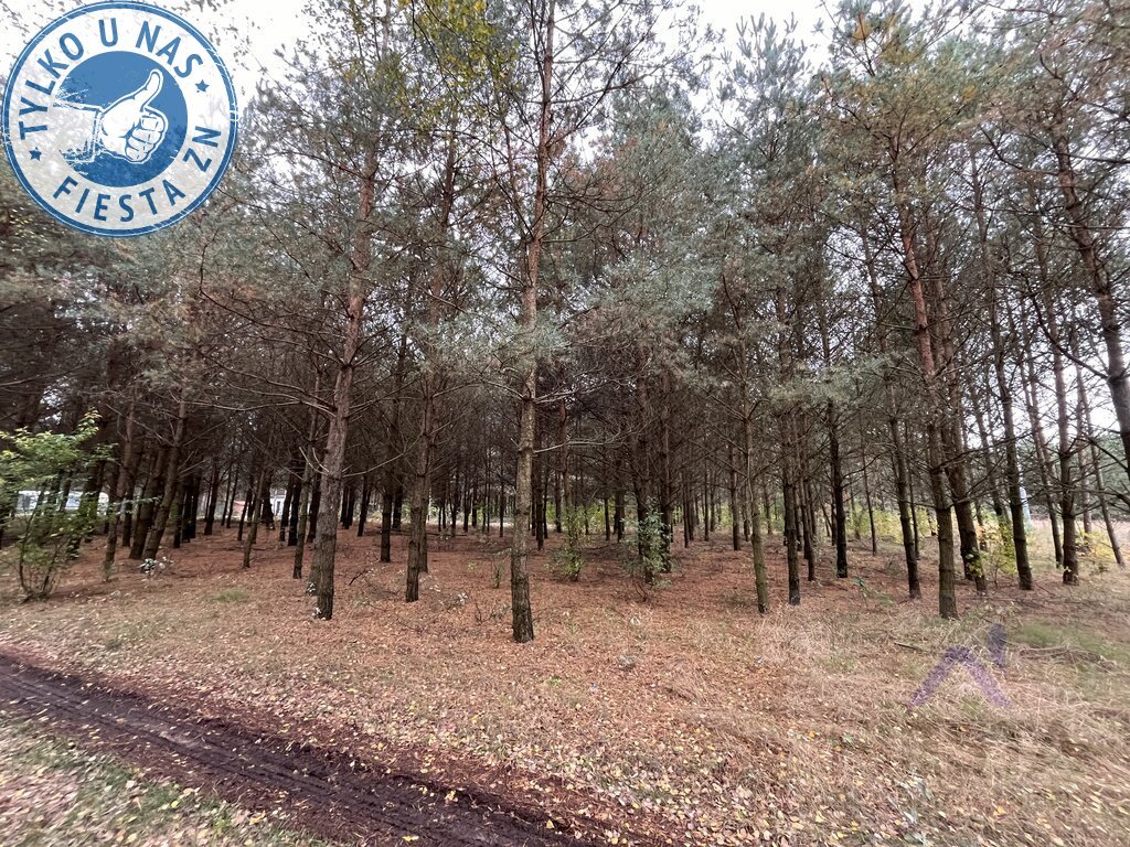 Działka rolna na sprzedaż Sosnowo  2 303m2 Foto 1