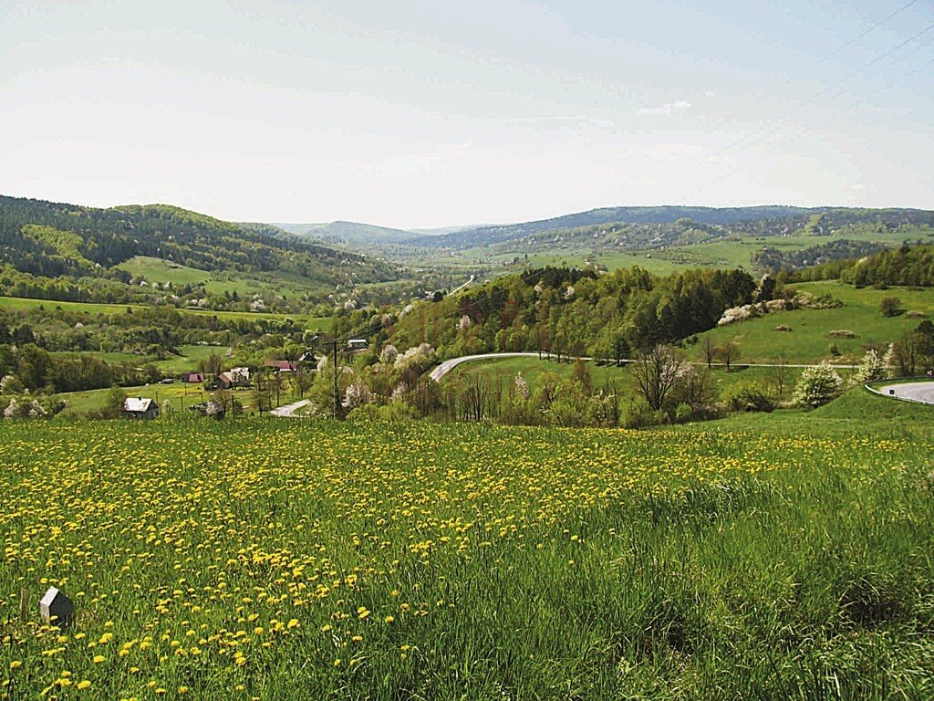 Do sprzedania widokowa działka 8 954 m² w Kulasznem Kulaszne, Kulaszne/Bieszczady/działka widokowa  8 954m2 Foto 1