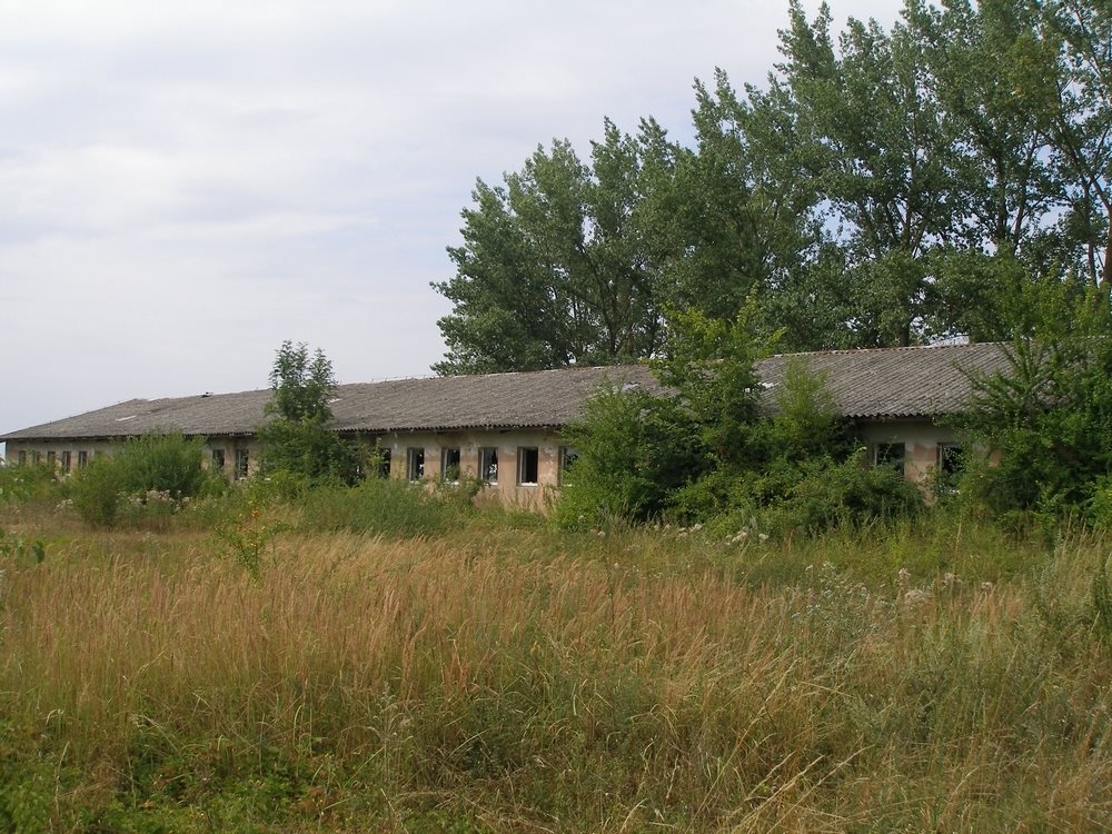 Polecam halę 827 m² z działką 3296 m² do remontu Kołbaskowo  827m2 Foto 1
