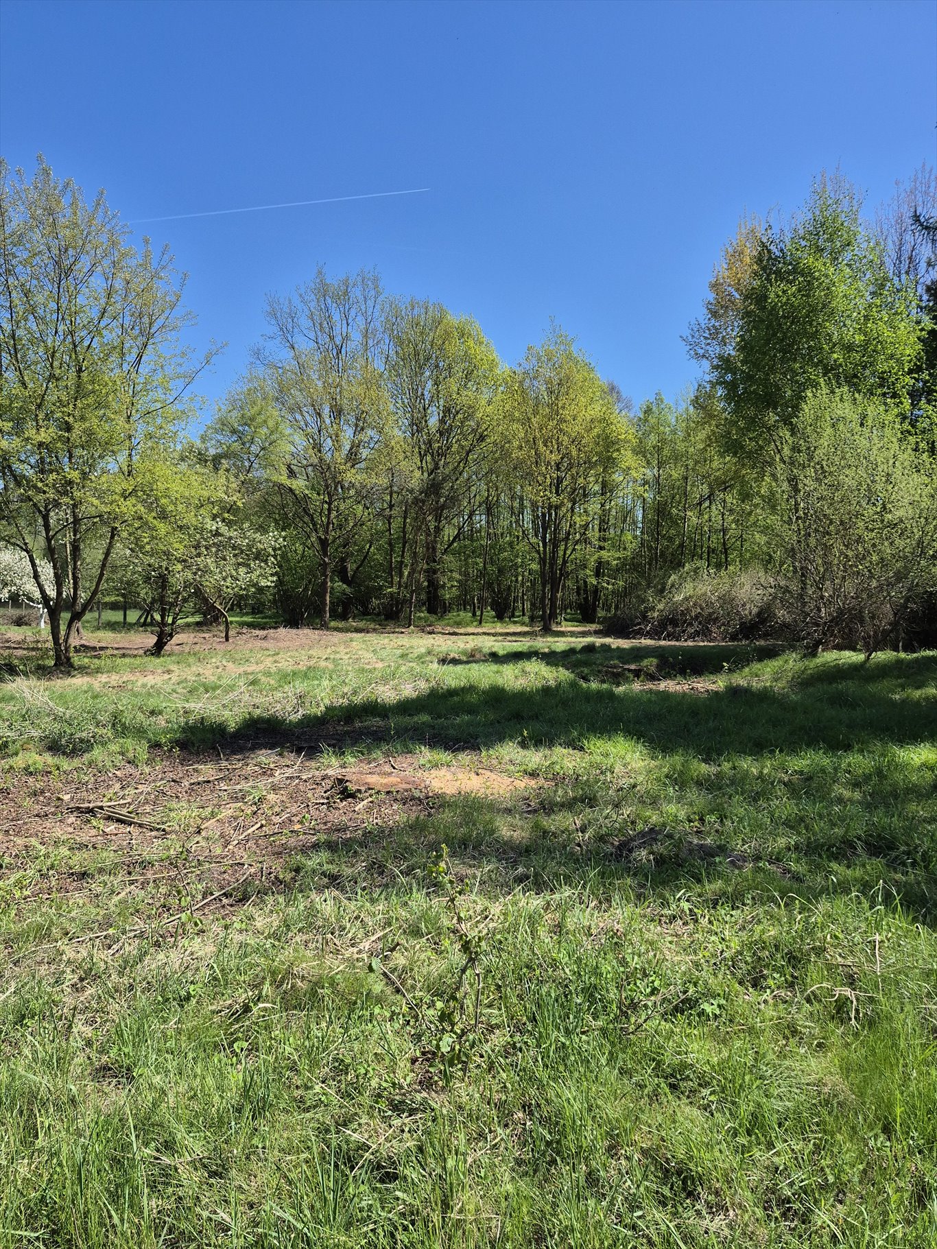 Zapraszam do zakupu działki 2900 m² w Tworogu Małym: Tworóg Mały: wiejska