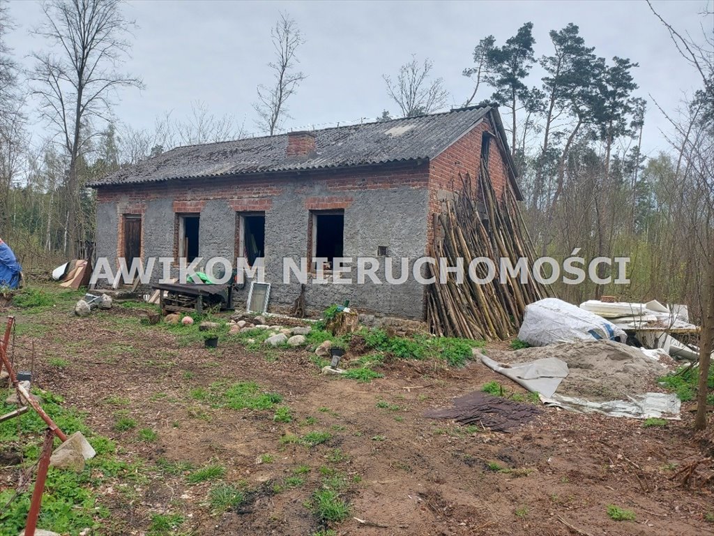 Działka inna na sprzedaż Joachimów-Mogiły  3 179m2 Foto 8